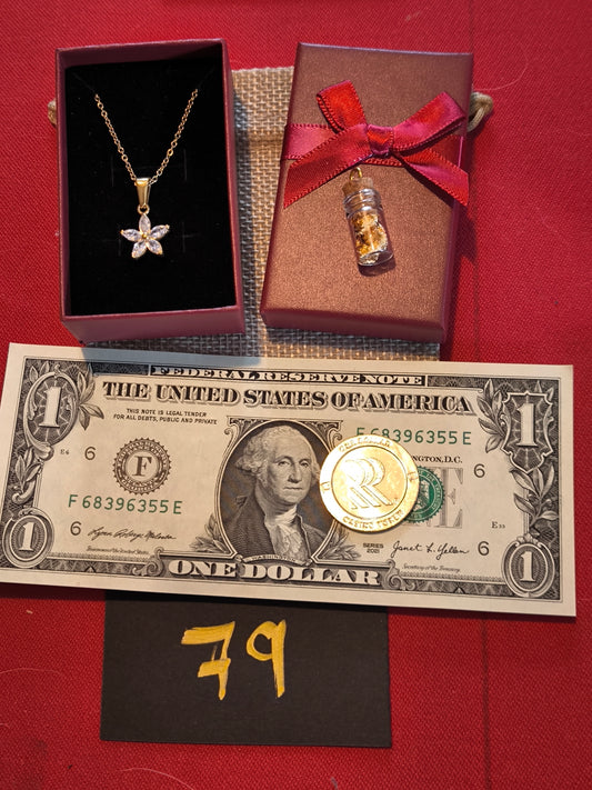 Pochette du lingoteur n° 79