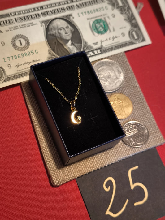 Pochette du lingoteur n° 25